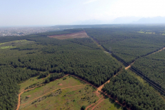 DJI_0006