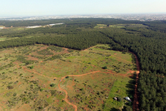 DJI_0012
