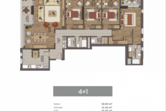 41