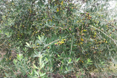image3