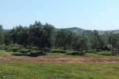 image6