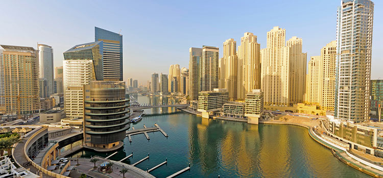 LLC Registration in the UAE