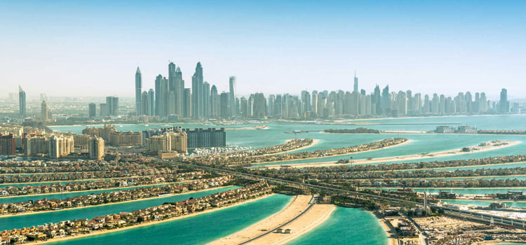UAE license