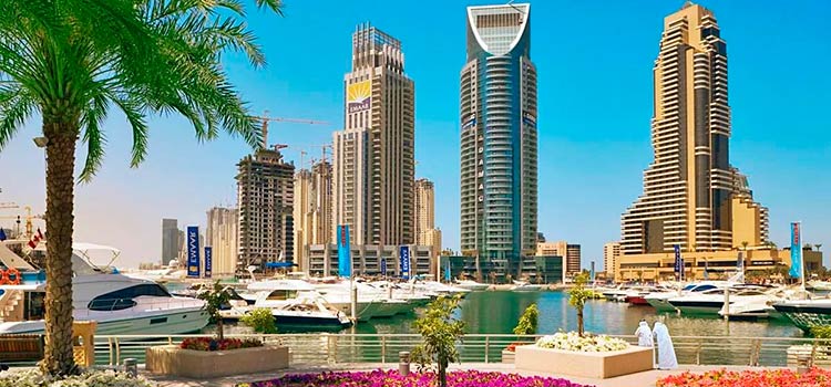 Sole proprietorship vs LLC in the UAE: what’s the difference?