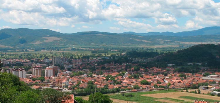 company in the free zone of Serbia