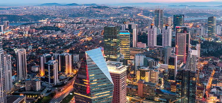 Turkey business plan