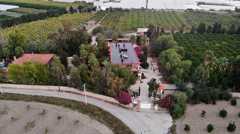 Seaside Citrus Orchard