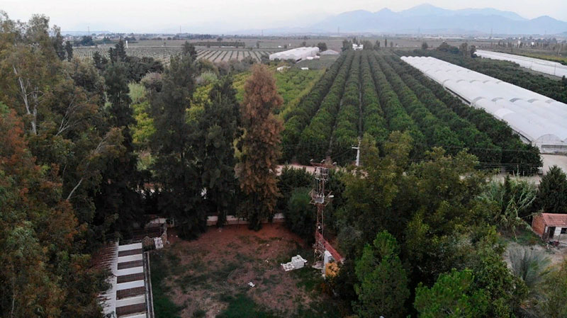 turkish plot with garden