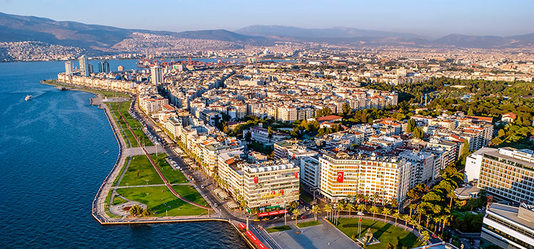 LLC in Turkey in 5 days
