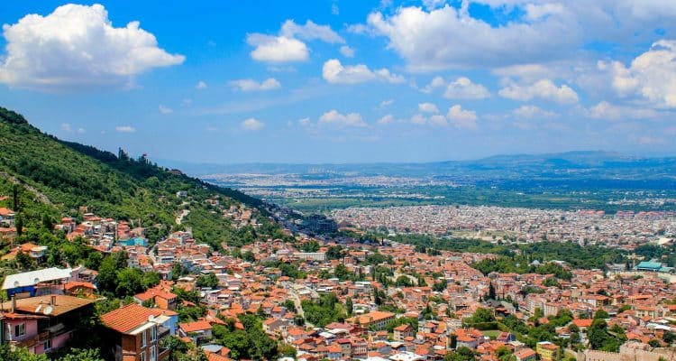 Bursa