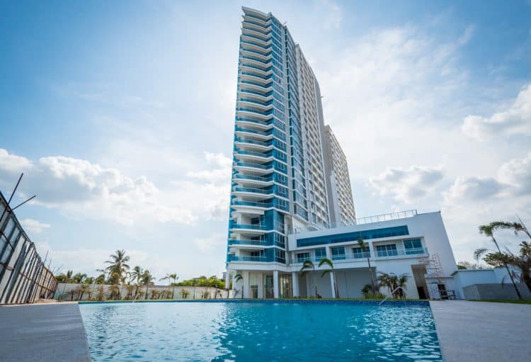 Royal Palm
