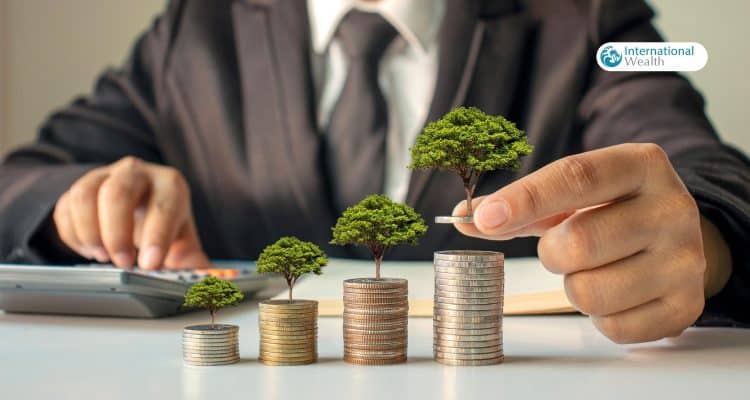 Investment in Serbia