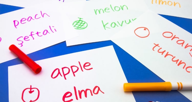Learning Turkish