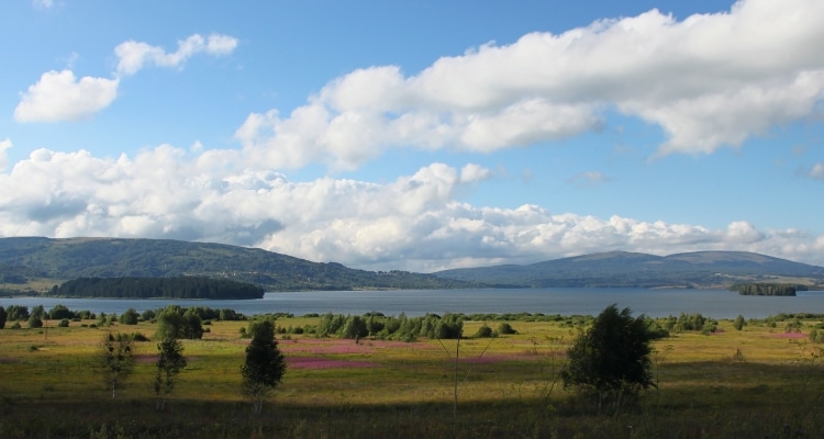 Vlasina
