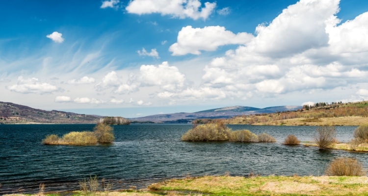 Vlasina
