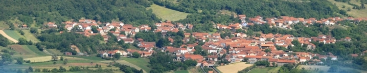 Negotin