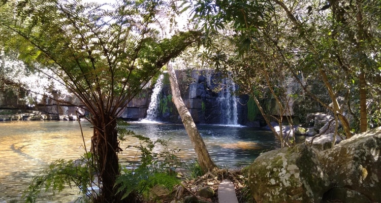 Ybycuí National Park