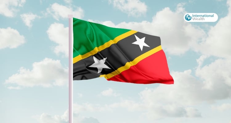 Benefits of a Nevis LLC