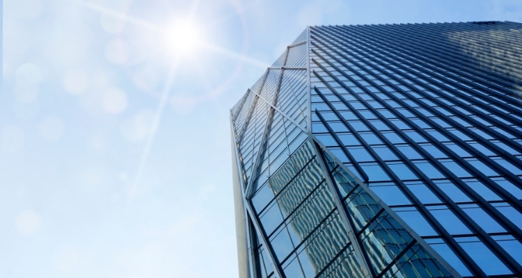advantages and disadvantages of incorporation