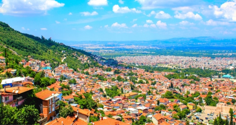 Bursa