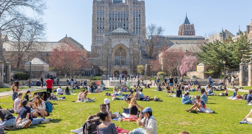 Yale University