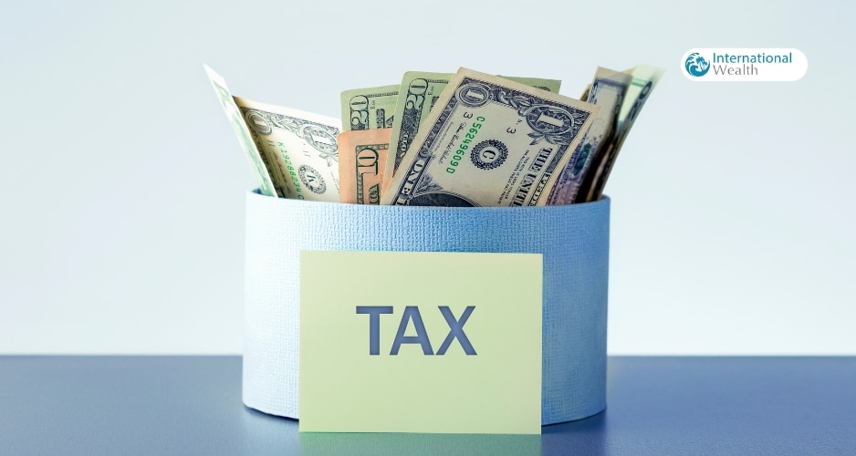 Where to pay taxes