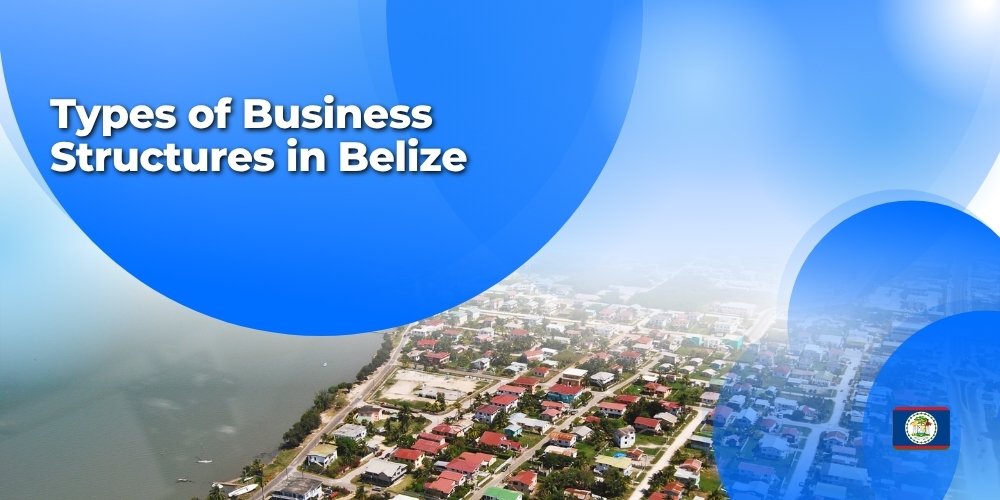 Types of Business Structures in Belize